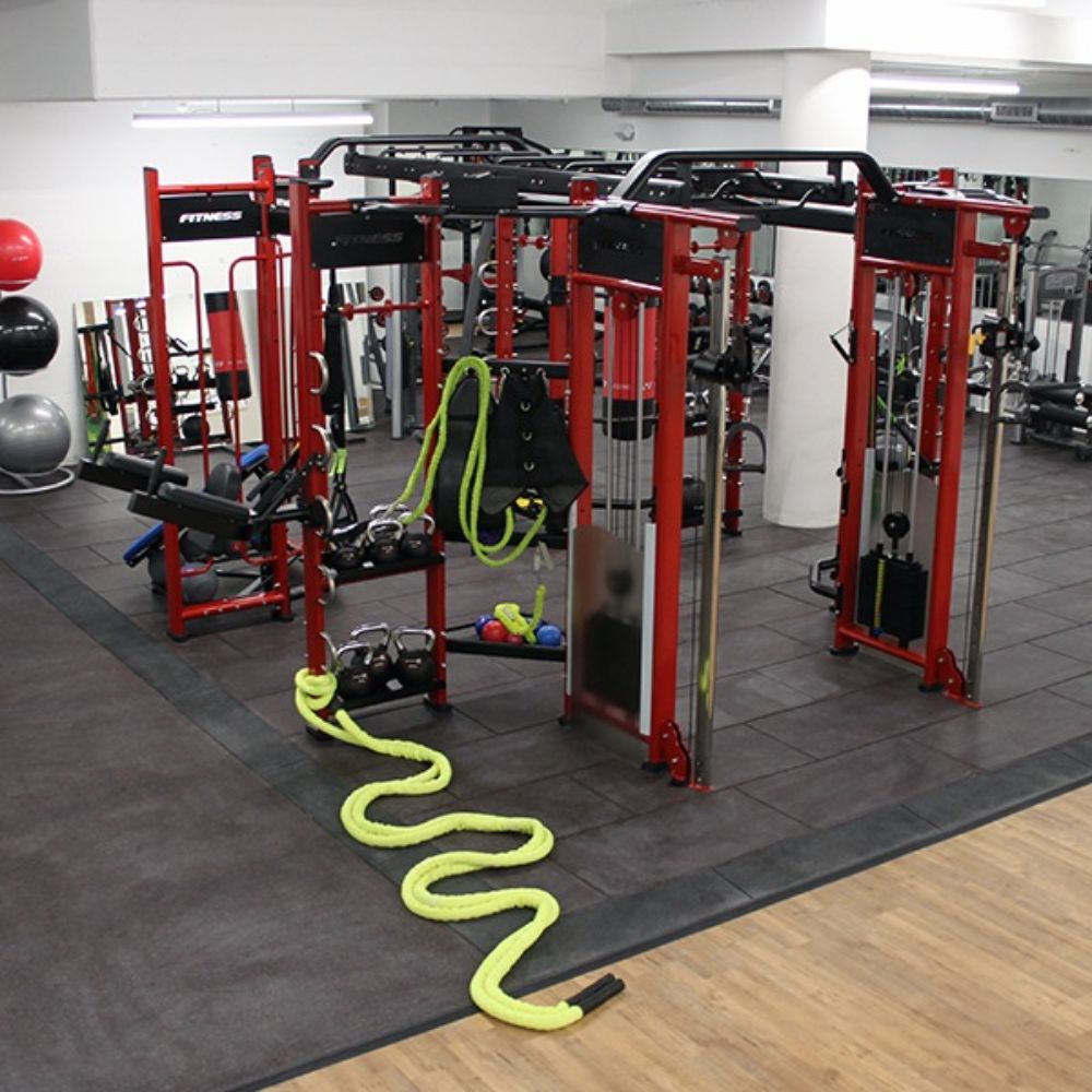 Gym Gear Spartan Functional Training Rig