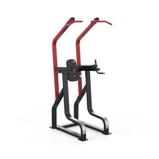 Gym Gear Sterling Series, Chin / Dip / Knee Raise Frame