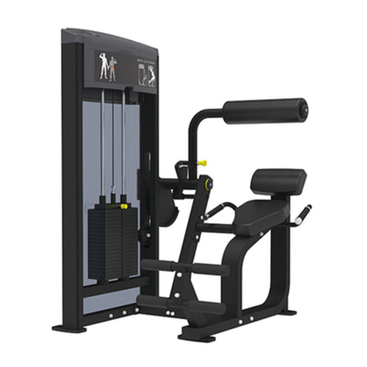 Gym Gear Pro Series, Back Extension